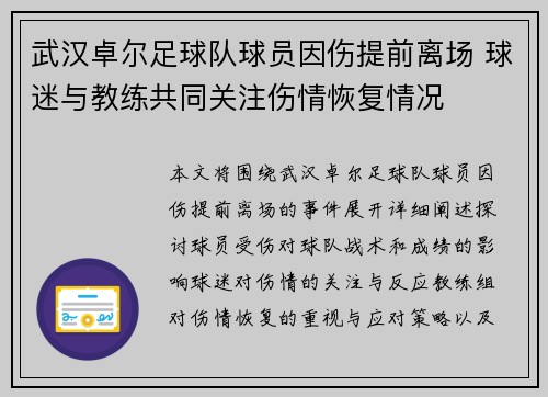 武汉卓尔足球队球员因伤提前离场 球迷与教练共同关注伤情恢复情况 武汉卓尔足球队球员因伤提前离场 球迷与教练共同关注伤情恢复情况