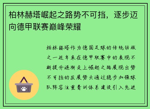 柏林赫塔崛起之路势不可挡,逐步迈向德甲联赛巅峰荣耀 柏林赫塔崛起之路势不可挡,逐步迈向德甲联赛巅峰荣耀