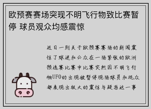 欧预赛赛场突现不明飞行物致比赛暂停 球员观众均感震惊 欧预赛赛场突现不明飞行物致比赛暂停 球员观众均感震惊